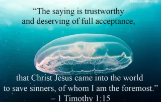 the saying is trustworthy