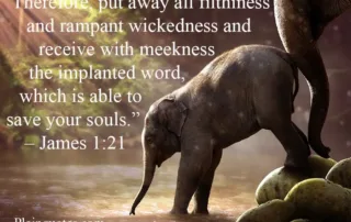 therefore put away all filthiness