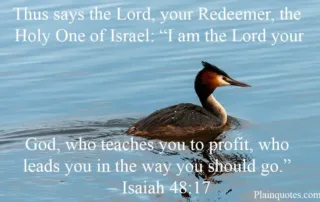 thus says the Lord