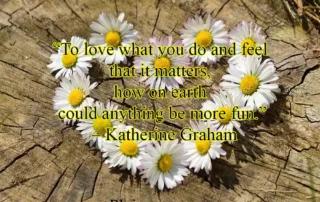 to love what you do
