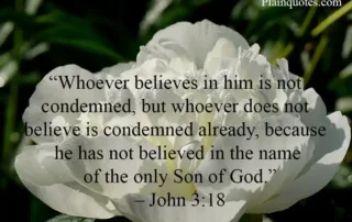 whoever believes