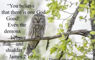 you believe