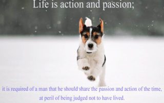 Life Is Action And Passion