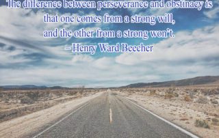 The difference between perseverance and obstinacy