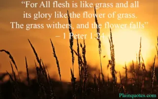 for all flesh is like grass