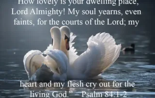 how lovely is your dwelling place