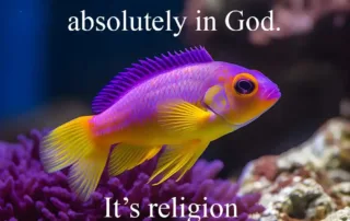 I don’t doubt God