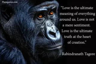 love is