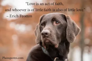 love is an act of faith