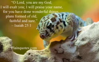 o Lord you are my God