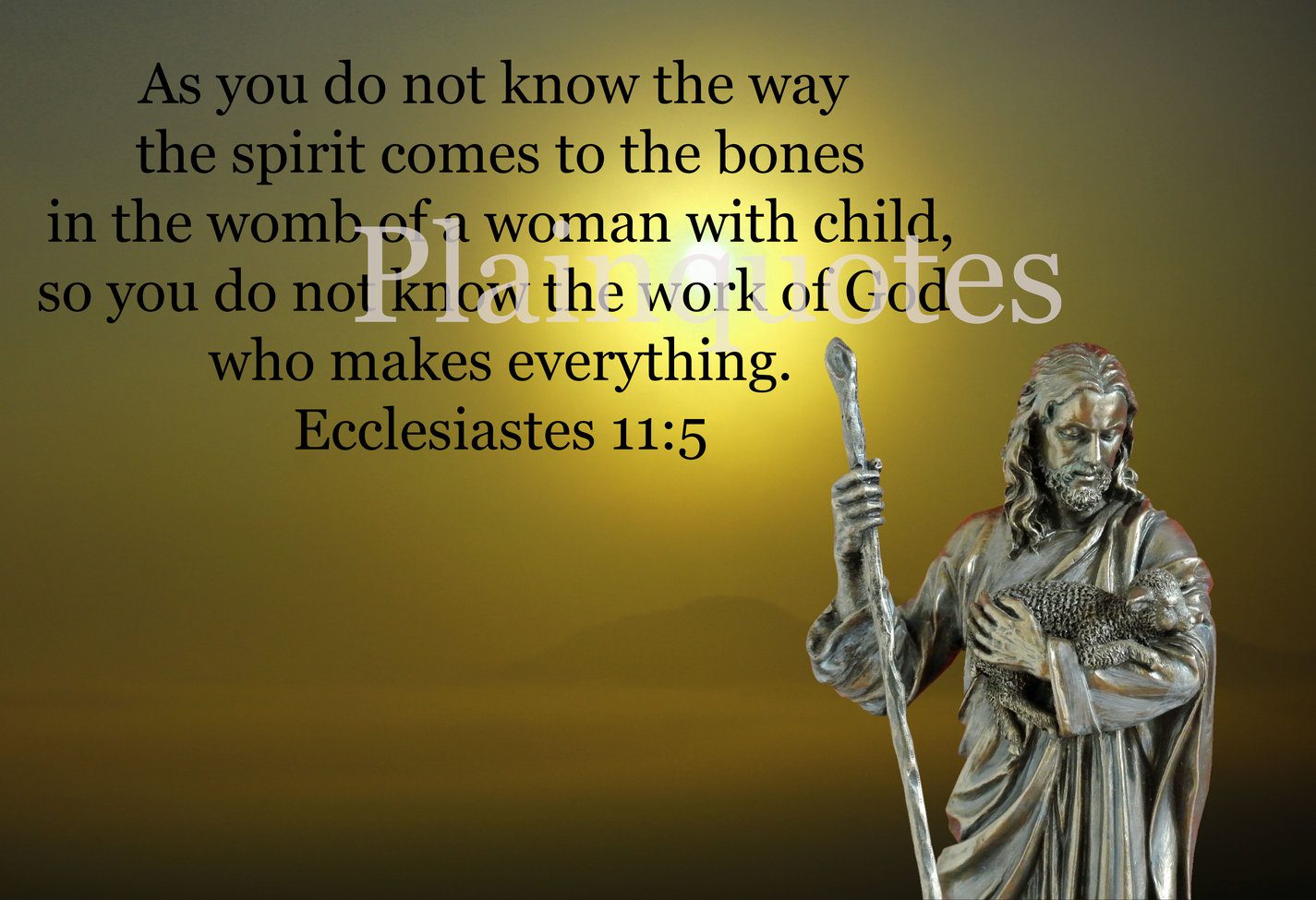 Ecclesiastes11:5 sample image