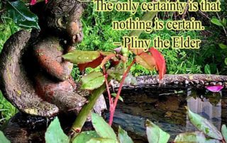 the only certainty
