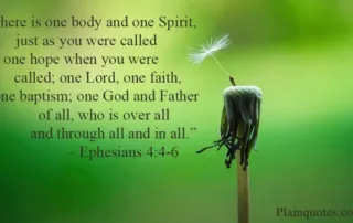 there is one body