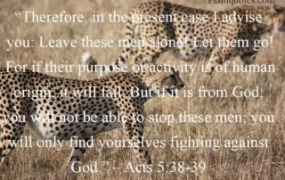 therefore in the present case