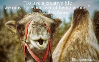 to live a creative life