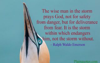 The wise man image