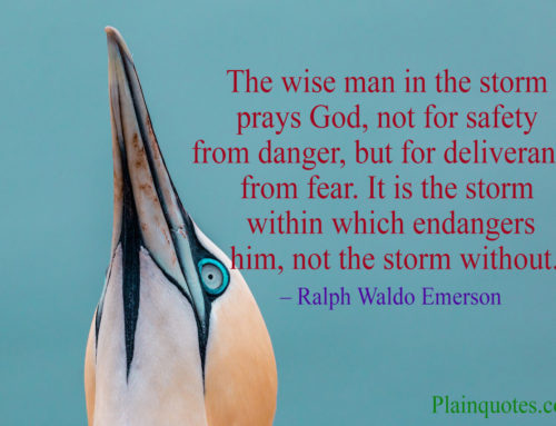 the wise man