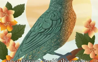 we shall draw
