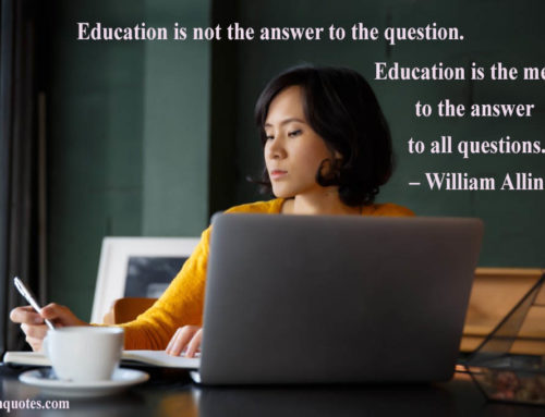 Education is not the answer