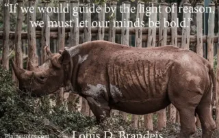 if we would guide by the light