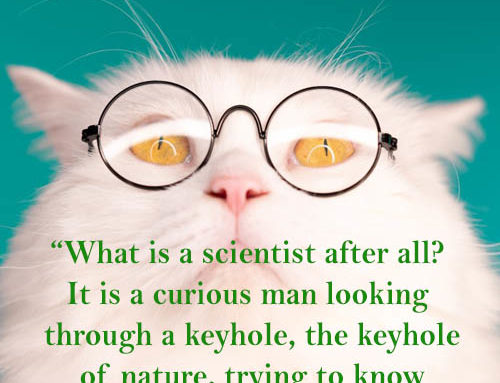 What is a scientist