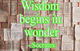 wisdom Begins In wonder