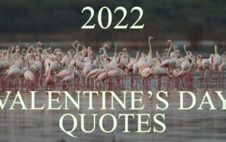 2022 Valentine's Day Quotes
