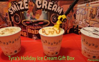 Tyra's Holiday Ice Cream Gift Box