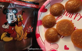 Disney Dog Treats