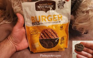 Rachael Ray Nutrish Burger Bites Dog Treats