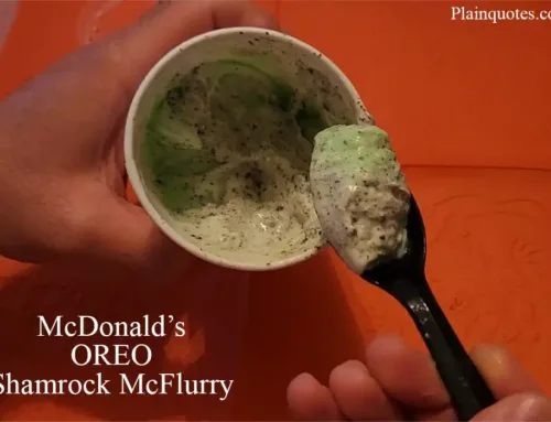 McDonald’s Oreo Shamrock McFlurry