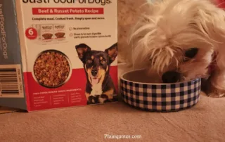 just food for dogs