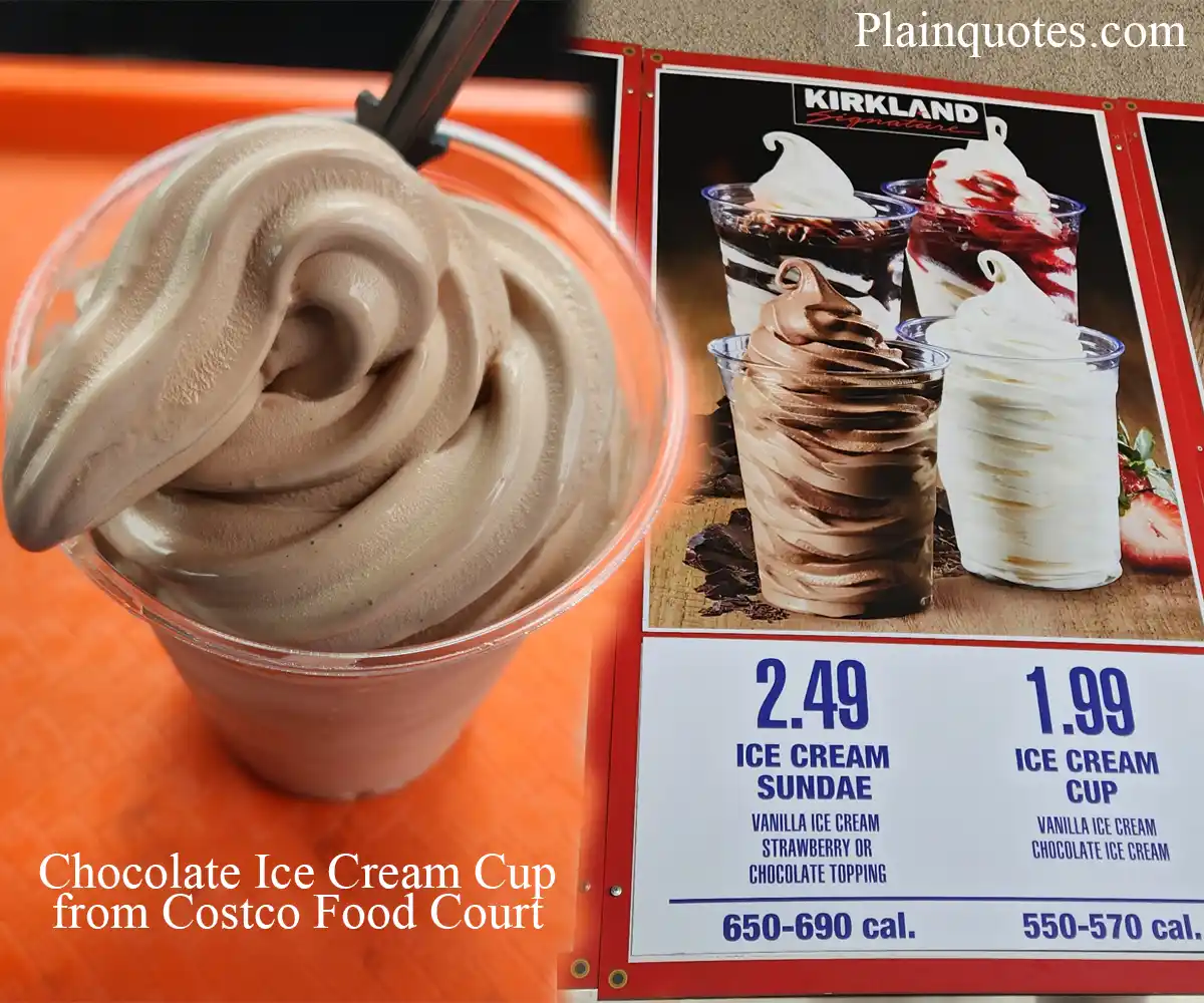 Ice Cream From Costco Food Court