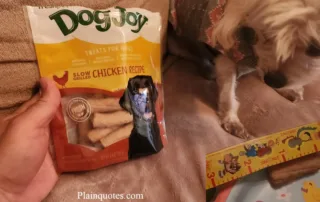 Freshpet Dog Joy Treats for Dogs