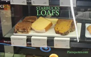 Starbucks Loafs