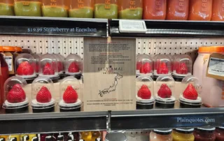 Strawberry at Erewhon