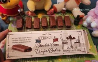 Trader Joe's FRENCH Chocolate Crêpe Wafer Cookies